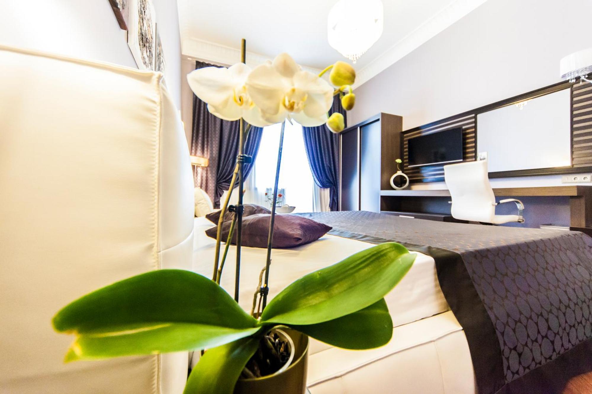 Matei Corvin Apartment Cluj-Napoca